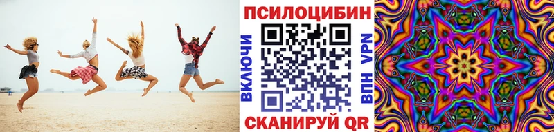 Купить закладки  Далматово  Галлюциногенные грибы Magic Shrooms 