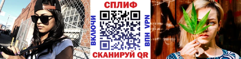 Купить где Далматово Конопля ГИДРОПОН